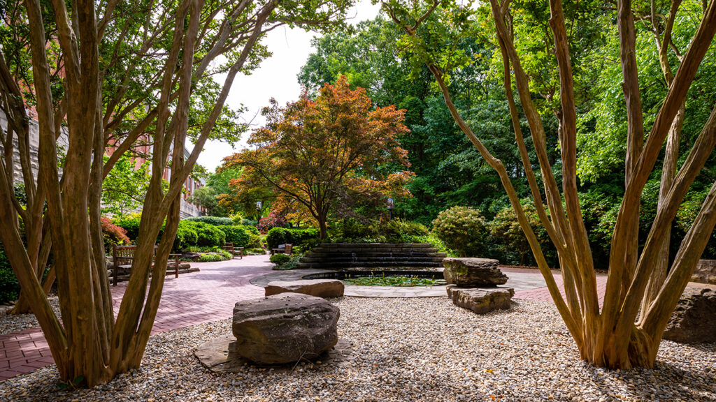 Music Building Garden