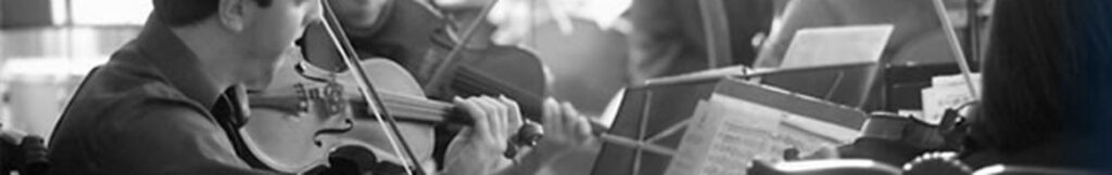 String Festival Banner