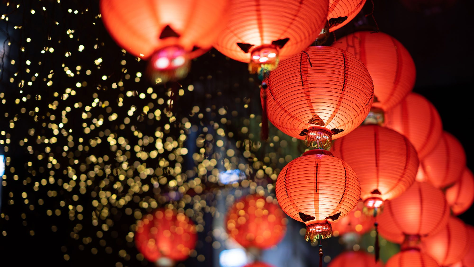 Lunar New Year Concert Feature