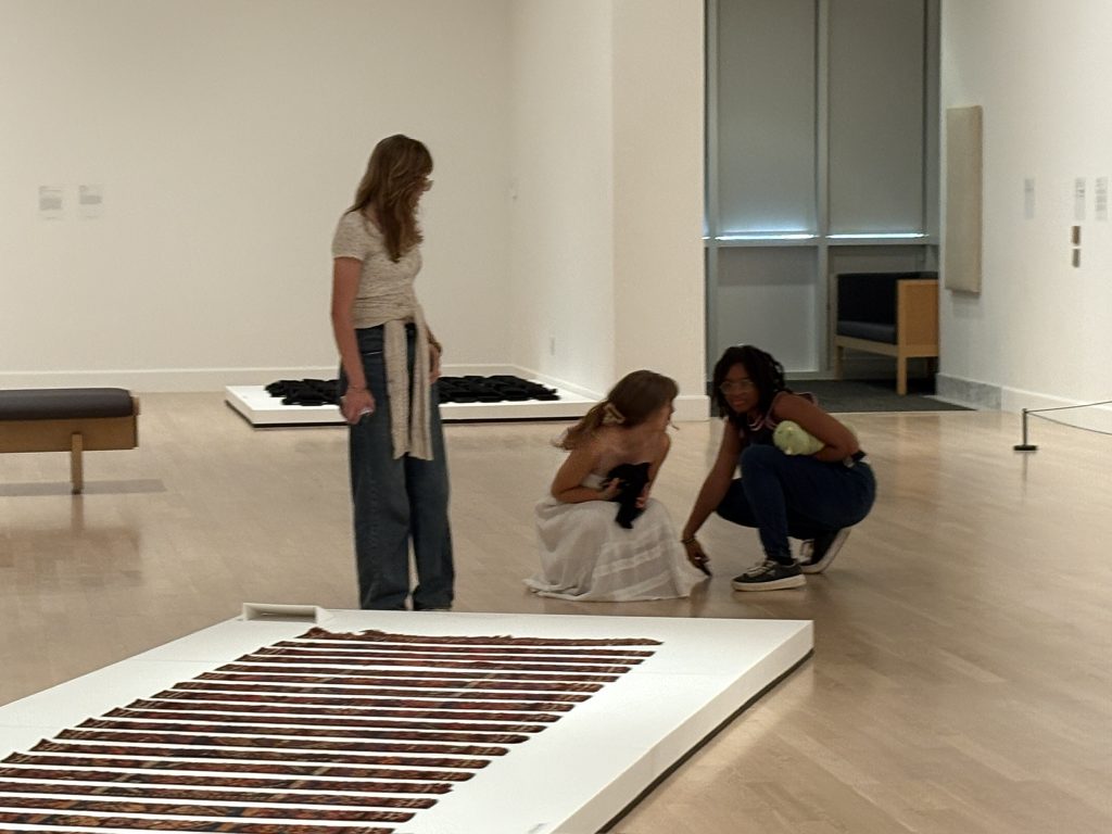 SADI 2025 Image Gallery