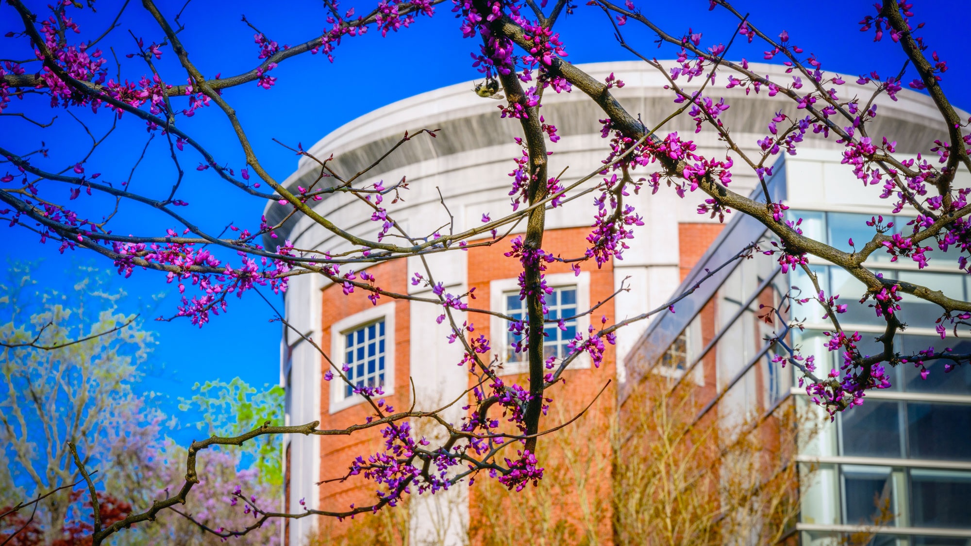 Open House for Prospective Music Students